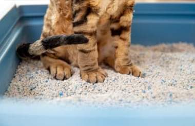 Sortimentserweiterung