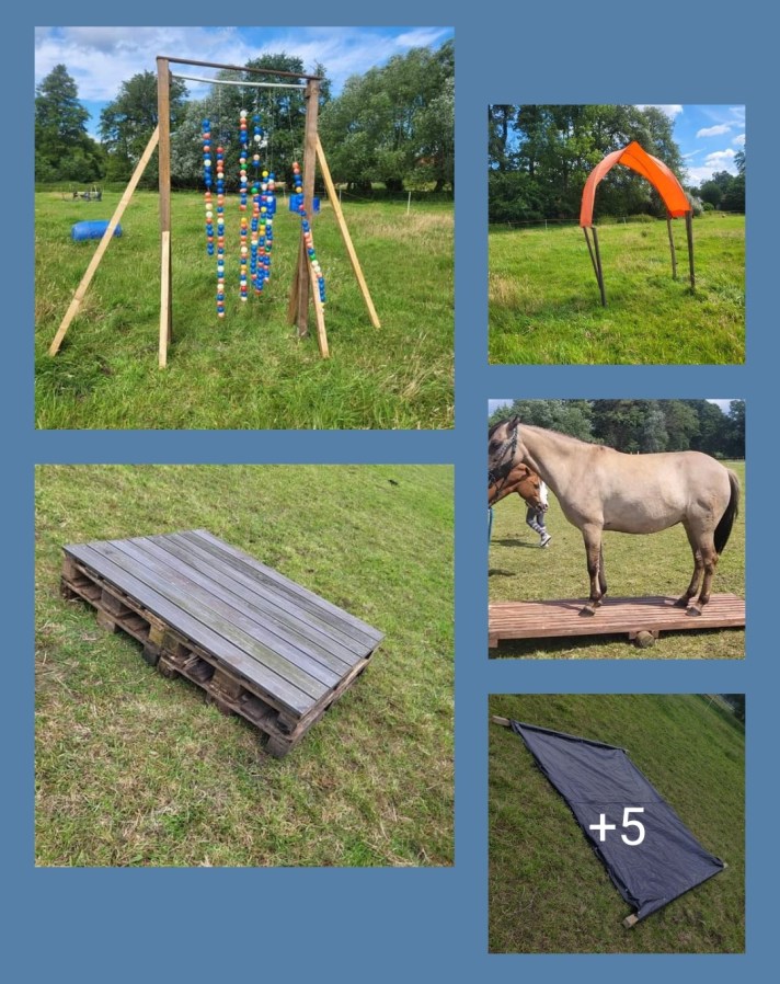 Danke Horse & Physio Fit, Beppen